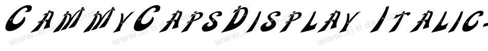 CammyCapsDisplay Italic字体转换